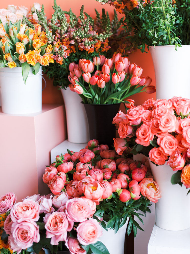 Close-up shot of bouquets of roses and tulips in vases sitting on the ground and on top of display cases against a coral wall. The flowers are all different shades of pink and the green stems and leaves of the flowers are peaking out of the vases.
